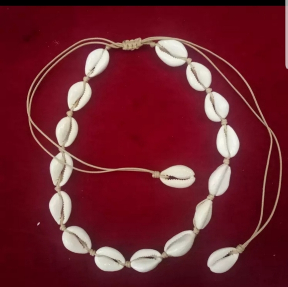 SEASHELL CHOKER/NECKLACE - Picture 2 of 3